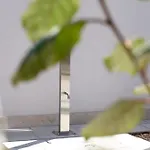 Kalinifta Luxury Style Torre Lapillo